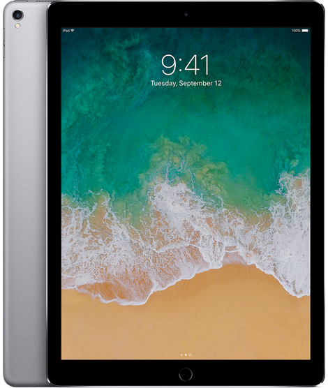 NMS-12.9 inch iPad Pro Wi-Fi Space Gray